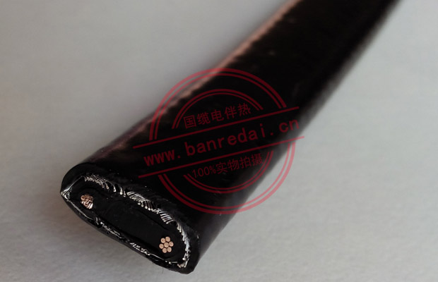 低溫型自限溫電伴熱帶細(xì)節(jié)