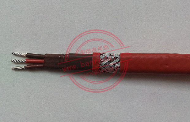 RDP3-J3并聯(lián)恒功率電伴熱帶結(jié)構(gòu)示意圖